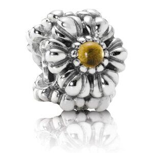 Pandora November Birthday Bloom Charm (790580CIG)